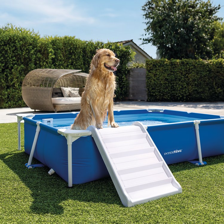 Kit piscine tubulaire rectangulaire pour animaux INTEX 48404NP – Image 2